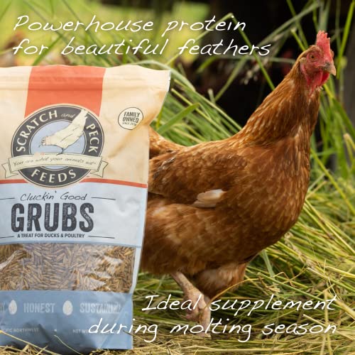  Scratch And Peck Feeds Cluckin’ Good Grubs For Chickens - Sustainably Grown In North America - Natural High Protein, Calcium Dense - Dried Black Soldier Fly Larvae Bird Treats - 1.25-lbs