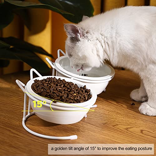  GLOGLOW Raised Ceramic Litter Prevents Vomiting Lutbar Reduces Dog Litter Pressure