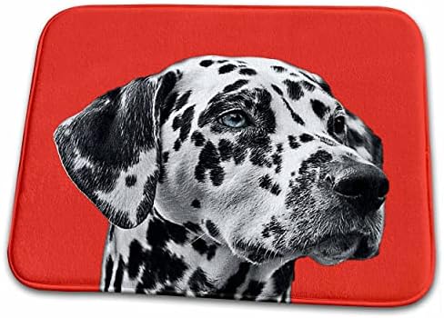  3dRose Dalmatian Dog On Red Background, Pet, Puppy Animal - Dish Drying Mats (ddm-215155-1)