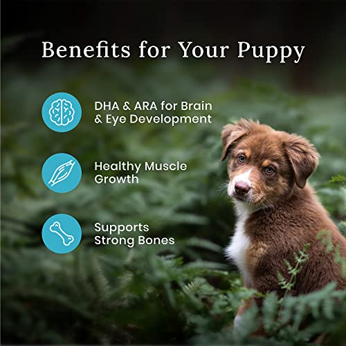  Blue Buffalo Wilderness High Protein Natural Puppy Dry Dog Food Plus Wholesome Grains, Chicken 13 Lb Bag