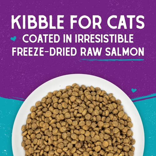  Stella & Chewy’s Raw Coated Premium Kibble Cat Food – Grain Free, Protein Rich Meals – Wild Caught Salmon Recipe – 5 Lb. Bag