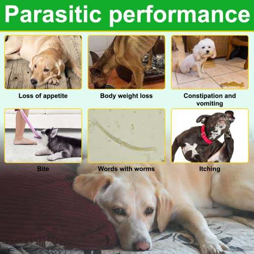  Flea And Tick Prevention For Dogs Chewable, 150 Chews Dog Natural Flea & Tick Control Supplement, Dog Flea And Tick Treatment, Oral Flea Pills For All Breeds And Ages Dogs