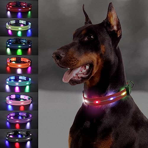  Joytale Light Up Dog Collars Rechargeable, High Visibility LED Dog Collar for Pet Night Walking, 3 Flash Modes, Rainproof PVC Glow Collar Adjustable for Small Medium Large Dogs, Teal, L