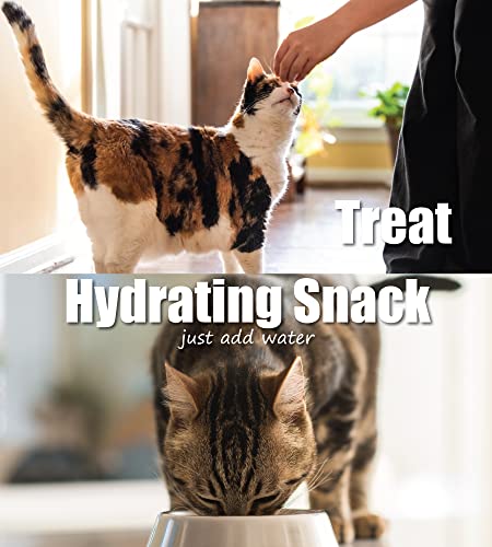  Whole Life Pet Just One Turkey - Cat Treat Or Topper - Human Grade, Freeze Dried, One Ingredient - Protein Rich, Grain Free, Made In The USA