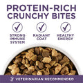  Purina ONE High Protein Dry Senior Dog Food Plus Vibrant Maturity Adult 7 Plus Formula - 16.5 Lb. Bag