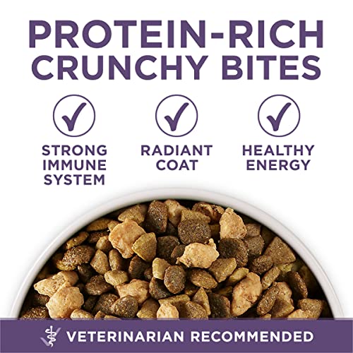  Purina ONE High Protein Dry Senior Dog Food Plus Vibrant Maturity Adult 7 Plus Formula - 16.5 Lb. Bag