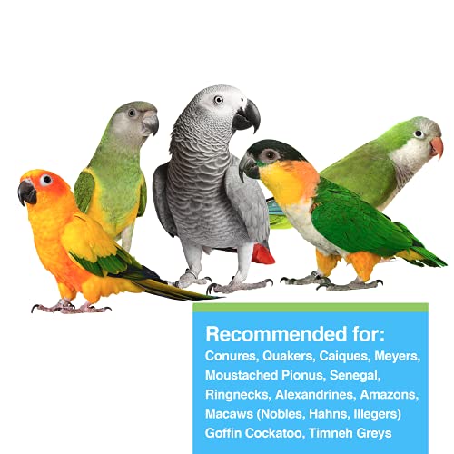  Hagen Tropimix Enrichment Food For Small Parrots, 4 Lb. (1.8 Kg) - HARI Small Parrot Food With Seeds, Fruit, Nuts, Vegetables, Grains, And Legumes