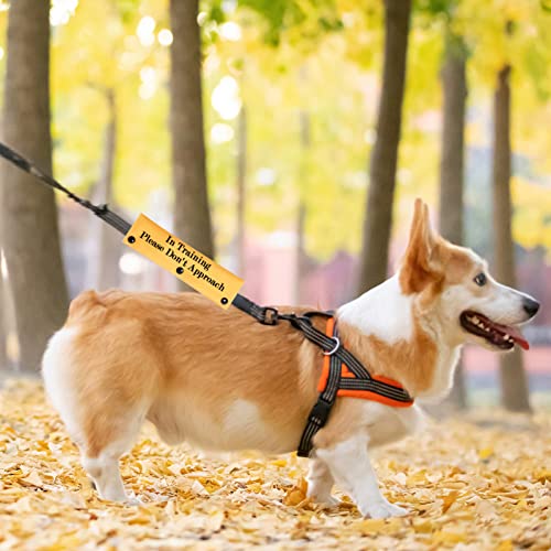  PWHAOO In Training Ignore Dog Leash Sleeve Dot Not Pet Working Dog Leash Sleeve Service Dog Leash Wrap(Please Don't Approach Sleeve)