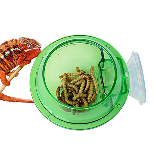  ZSQZJJ Pet Drinking Basin And Feeding Basin Reptile Anti-Escape Food Bowl Cup Turtle Lizard Worm Live Food Container