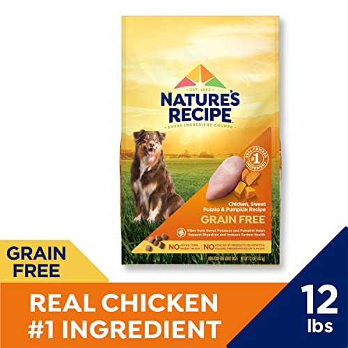  Nature′s Recipe Dry Dog Food, Grain Free Chicken, Sweet Potato & Pumpkin Recipe, 12 Lb. Bag