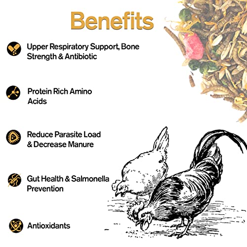  Fowl Treats Naturally Fortified Treats – Protein Rich Supplement Suitable For Chickens, Hens And Ducks, Hand Mixed With USA Grown Ingredients – Solstice Blend – 32oz