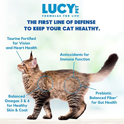  Lucy Pet Products Pet Chicken, Brown Rice & Pumpkin, LID Cat Food 4lb