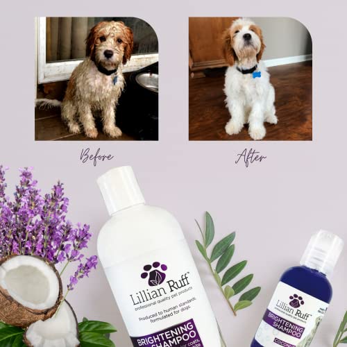  Lillian Ruff Ultra-Brightening Professional Whitening Shampoo For Dogs & Leave-in Dog Conditioner Detangler Spray Set - PH-Balanced Dog Whitening Shampoo & No Rinse Hydrating Dog Conditioning Spray