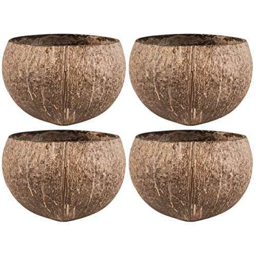  NOGRAX Rabbit Toy 6 Pcs Small Animals Small Animals Feeding Bowls Hamster Feeder Hamster Cage Bowls Feeder Shell Rabbit Toys Feeder (Color : As Shownx2pcs, Size : 11.5X11.5X8CMx2pcs)