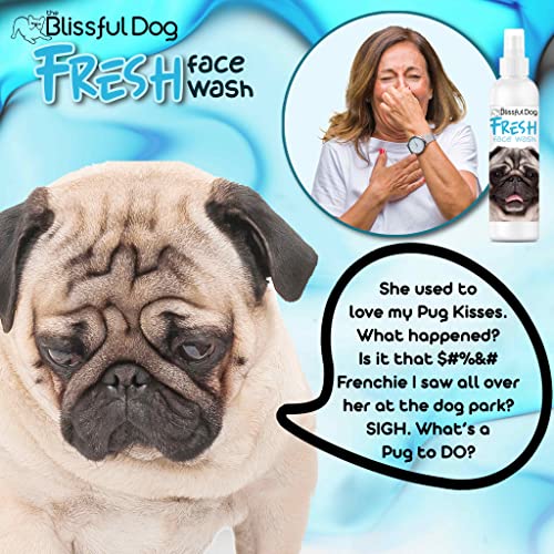  The Blissful Dog Fresh Flat Face Wash - Cleans Facial Folds And Wrinkles, 8-Ounce, Pug
