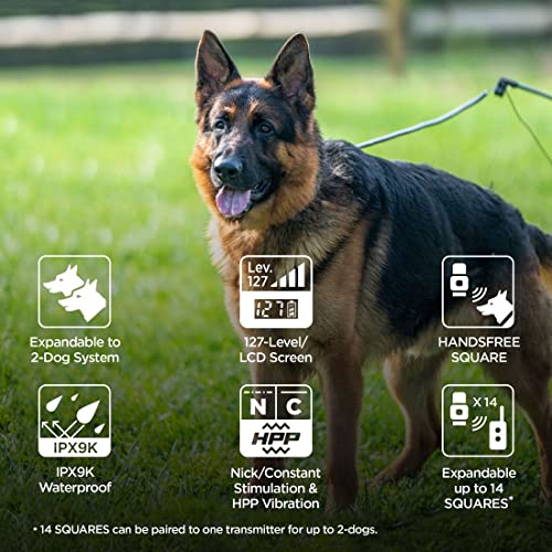  Dogtra ARC HANDSFREE Plus Remote Training Dog Collar - 3/4 Mile Range, Expandable To 2 Dogs, Waterproof, Rechargeable, 127 Training Levels, High Performance Vibration, W/ PetsTEK Clicker