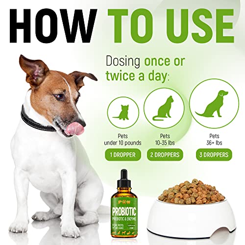  Probiotic For Dogs With Natural Digestive Enzymes. A Prebiotics + Digestive Enzyme Product For Dogs + Pumpkin. 120 Servings. Diarrhea & Upset Stomach Relief + Gas, Constipation, And Allergy Relief.