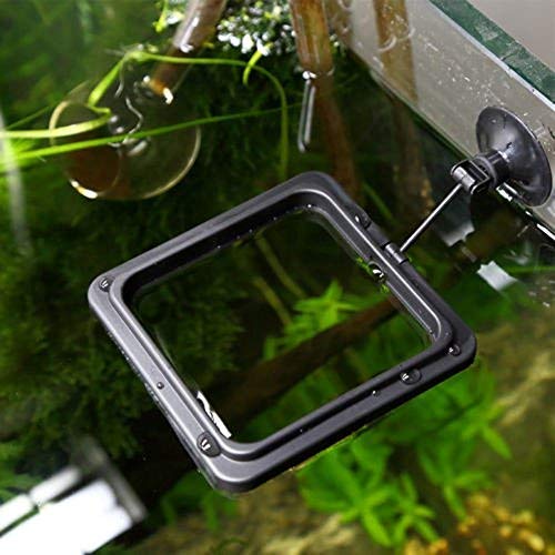  NGe 5Pcs Round Square Cone Fish Feeder Set, Floating Food Feeding Ring, Live Red Worm Feeder Funnel Plate, With Suction Cups (Black)
