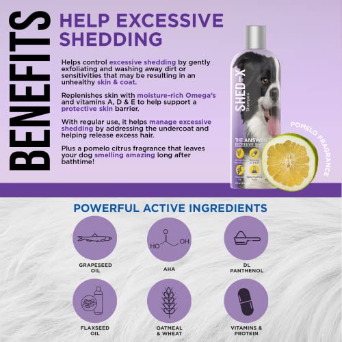  Shed-X Shed Control Shampoo For Dogs, 16 Oz – Reduce Shedding – Shampoo Infuses Skin And Coat With Vitamins And Antioxidants To Clean, Release Excess Hair, And Exfoliate