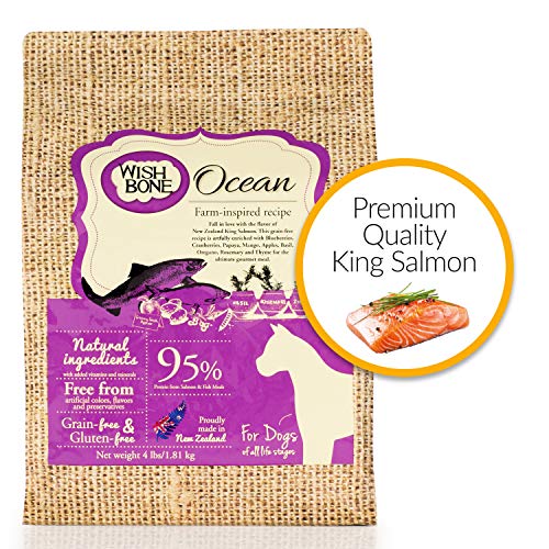 Wishbone Ocean King Salmon Grain-Free And Gluten-Free Dog Food, All Natural Dry Dog Food, Rich In Omega 3 Dog Food, High Protein Dry Dog Food - 4 Lb