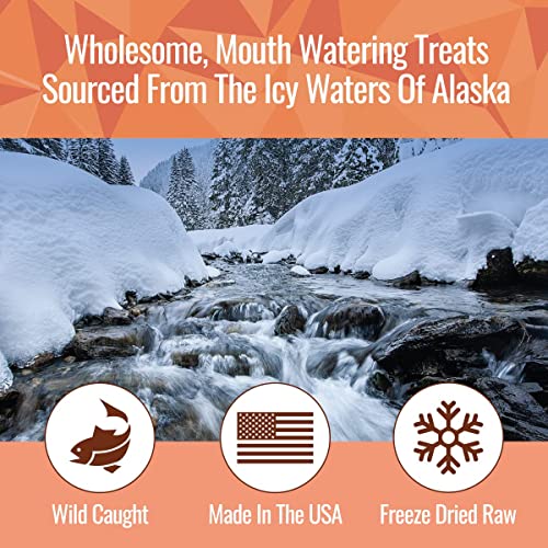  Smart Cookie Freeze Dried Salmon Bites - Single Ingredient Freeze Dried Salmon Treats For Dogs - Wild Caught Alaskan Salmon Dog Training Treats & Dog Food Topper - Made In USA - 2oz Bag, 3 Pack