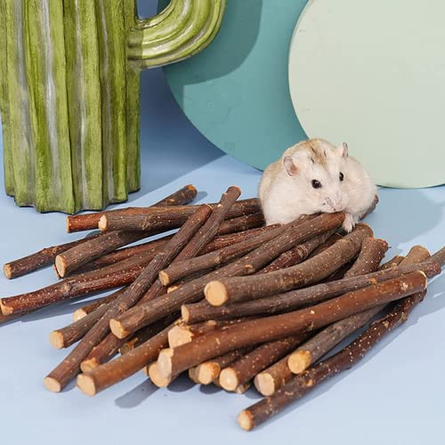 XLpeixin Apple Sticks Natural Chew Toys And Treats For Chinchilla Guinea Pig Hamster Gerbil Rabbit Chew Toys For Teeth,Chew Sticks For Rabbits (Thin 600g-21oz)…