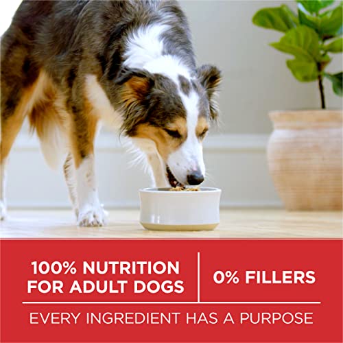  Purina ONE Chicken And Rice Formula Dry Dog Food - 40 Lb. Bag