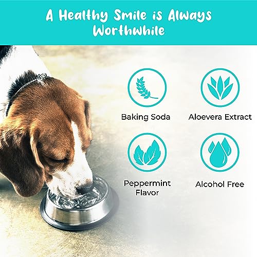  Premium Pet Dental Spray (Large - 8oz): Eliminate Bad Dog Breath & Bad Cat Breath! Fights Plaque, Tartar & Gum Disease Without Brushing! Add To Water! Digestive Aid!