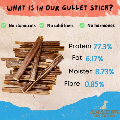  Amazing Dog Treats Gullet Sticks For Dogs- (6 Inch - 20 Count) - Jerky Chews For Dogs - Esophagus Beef Gullet