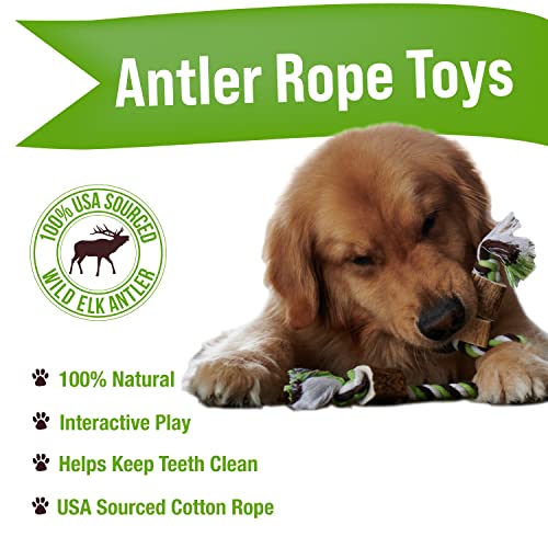  Buck Bone Organics Elk Antler Cotton Rope Chew Toy (Large/Jumbo)