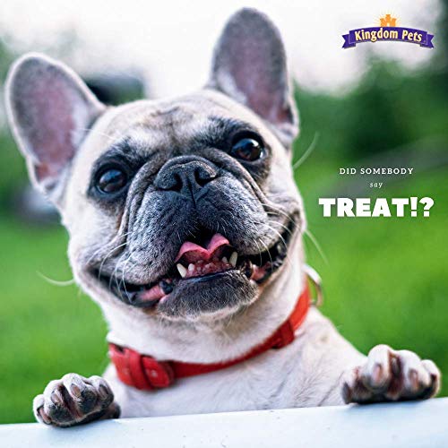  Kingdom Pets Duck Breast Jerky, Premium Treats For Dogs, 40 Oz. Bag