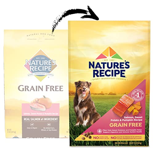  Nature's Recipe Grain Free Dry Dog Food, Salmon, Sweet Potato & Pumpkin Recipe, 12 Pound Bag, Easy To Digest
