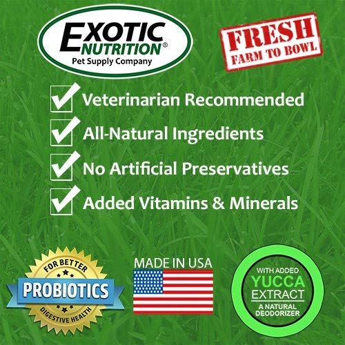  Exotic Nutrition Whole Oats 4 Lb. - Healthy Supplemental Food - Natural Whole Oats For Prairie Dogs, Degus & Chinchillas…