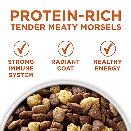  Purina ONE Plus Healthy Weight High-Protein Dog Food Dry Formula - 8 Lb. Bag