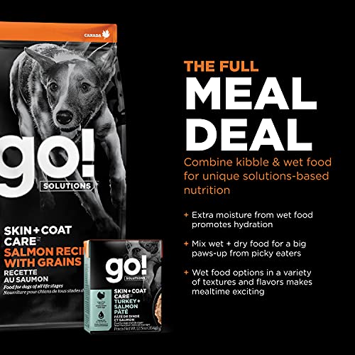 GO! SOLUTIONS Skin + Coat Care - Dry Dog Food, 25 Lb - Salmon Recipe With Grains For All Life Stages - Complete + Balanced Nutrition For Dogs