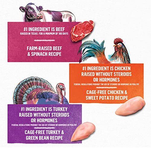  Purina Beyond Gravy, Beef, Chicken Or Turkey In Gravy Ground Entree Grain Free Wet Dog Food Variety Pack