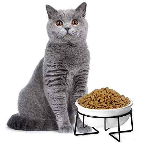  Ceramic Raised Cat Dishes Or Small Dog Bowl With Metal Stand 12 Ounces, Pet Food Or Water Bowls, White