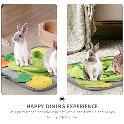  Ipetboom Teething Toy 2pcs Slow For Skills Animal Intelligence Eating Bunny Toys Dispenser Pig Cat Hunting Foraging Natural Ferret Enrichment Dog And Training Work Iq Rabbit Small Rug Toy
