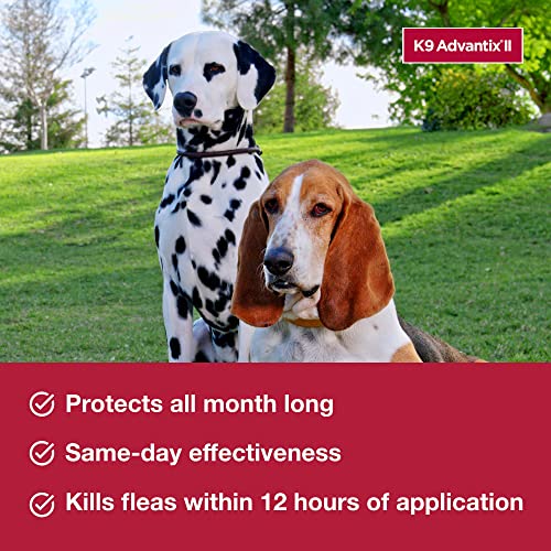  K9 Advantix II Small Dog Vet-Recommended Flea, Tick & Mosquito Treatment & Prevention | Dogs 4-10 Lbs. | 2-Mo Supply