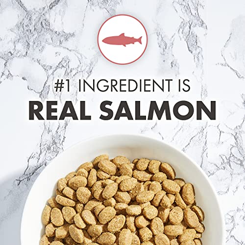  NUTRO WHOLESOME ESSENTIALS Adult Natural Dry Cat Food Salmon & Brown Rice Recipe, 14 Lb. Bag