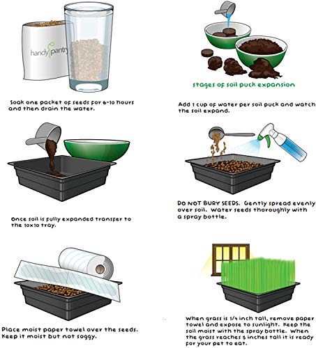  Handy Pantry Organic Cat Grass Kit - Includes 3 Trays, Soil Pucks, And 3 Packs Non GMO Wheatgrass Seed - A Healthy Treat For Cats, Dogs, Rabbits, More