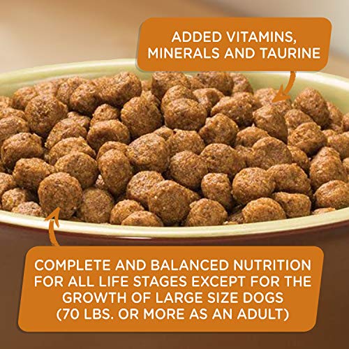  Rachael Ray Nutrish Zero Grain Dry Dog Food, Turkey & Potato Recipe, 26 Pounds