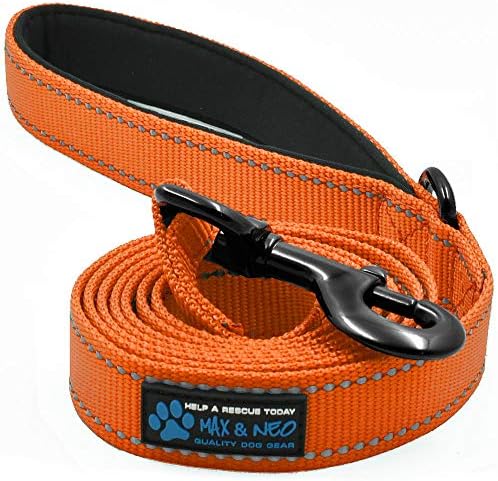  Max And Neo Reflective Nylon Dog Leash - We Donate A Leash To A Dog Rescue For Every Leash Sold (Purple, 4x1)