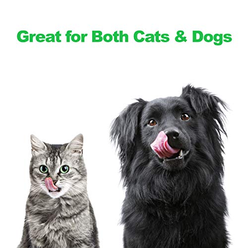  PETMAKER Stainless Steel Raised Food & Water Bowls With Decorative 6.5” Tall Stand For Dogs & Cats-2 Bowls, 40oz Each-Elevated Feeding Station,Silver
