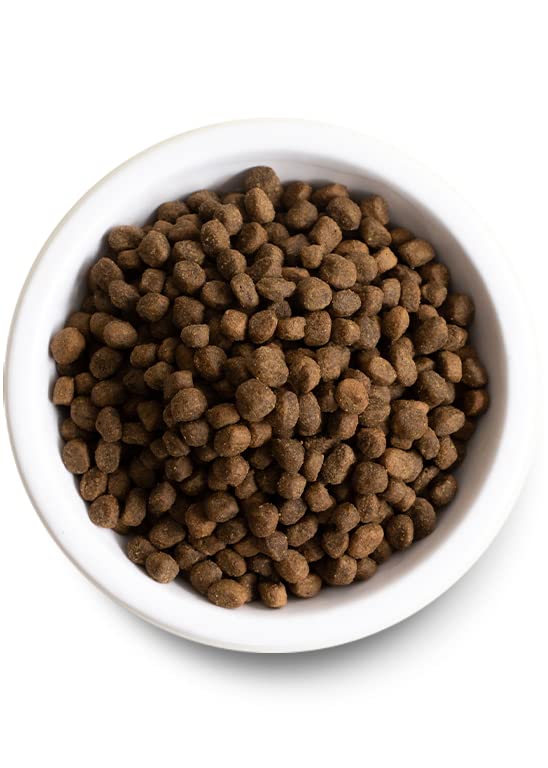  Open Farm Ancient Grains Dry Dog Food, Humanely Raised Meat Recipe With Wholesome Grains And No Artificial Flavors Or Preservatives (Wild Salmon Ancient Grain, 11 Pound (Pack Of 1))
