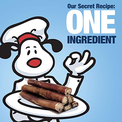  ValueBull Bully Sticks For Dogs, Medium 5-6 Inch, Varied Shapes, 50 Count - All Natural Dog Treats, 100% Beef Pizzles, Single Ingredient Rawhide Alternative