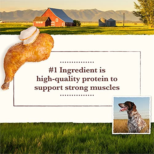  Whole Earth Farms Grain Free Recipe Dry Dog Food, Chicken & Turkey, 25-Pound