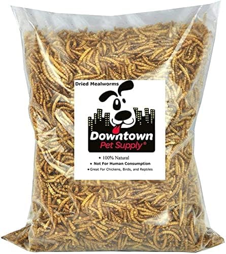  Downtown Pet Supply 2 LB Dried Mealworms For Wild Birds, Poultry, Reptiles, And Small Mammals Rich In Vitamin B12, B5, Protein, Fiber, Omega 3 Fatty Acids - Great As Mealworms For Chicken