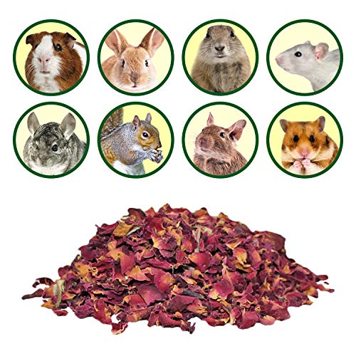  Rose Petals & Buds (4 Oz.) - Healthy Natural Dried Flower Herbivore Treat - Chinchillas, Guinea Pigs, Rabbits, Prairie Dogs, Degus, Hamsters, Rats, Squirrels, Sugar Gliders & Other Small Pets