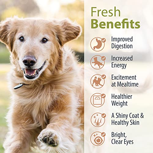  JustFoodForDogs Pantry Fresh Dog Food, Human Grade Beef, Chicken, Variety Pack (4 Pack)